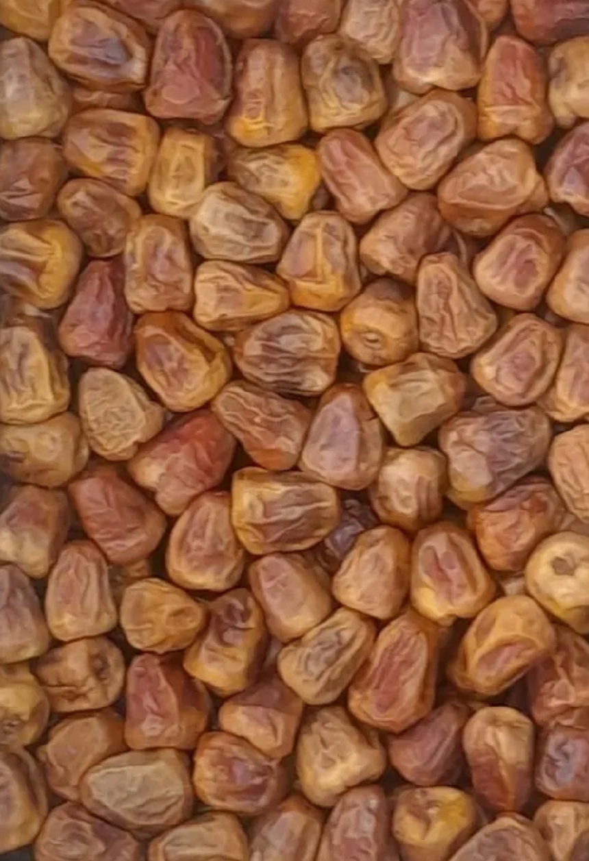 Sukkari Khjur 1 kg Primium Quality